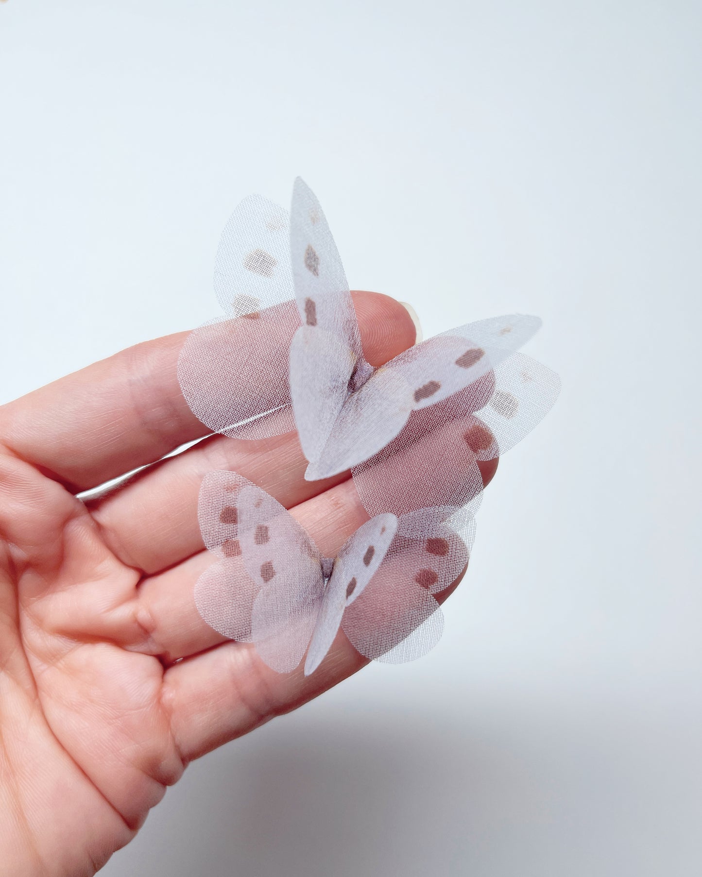 white silk butterfly