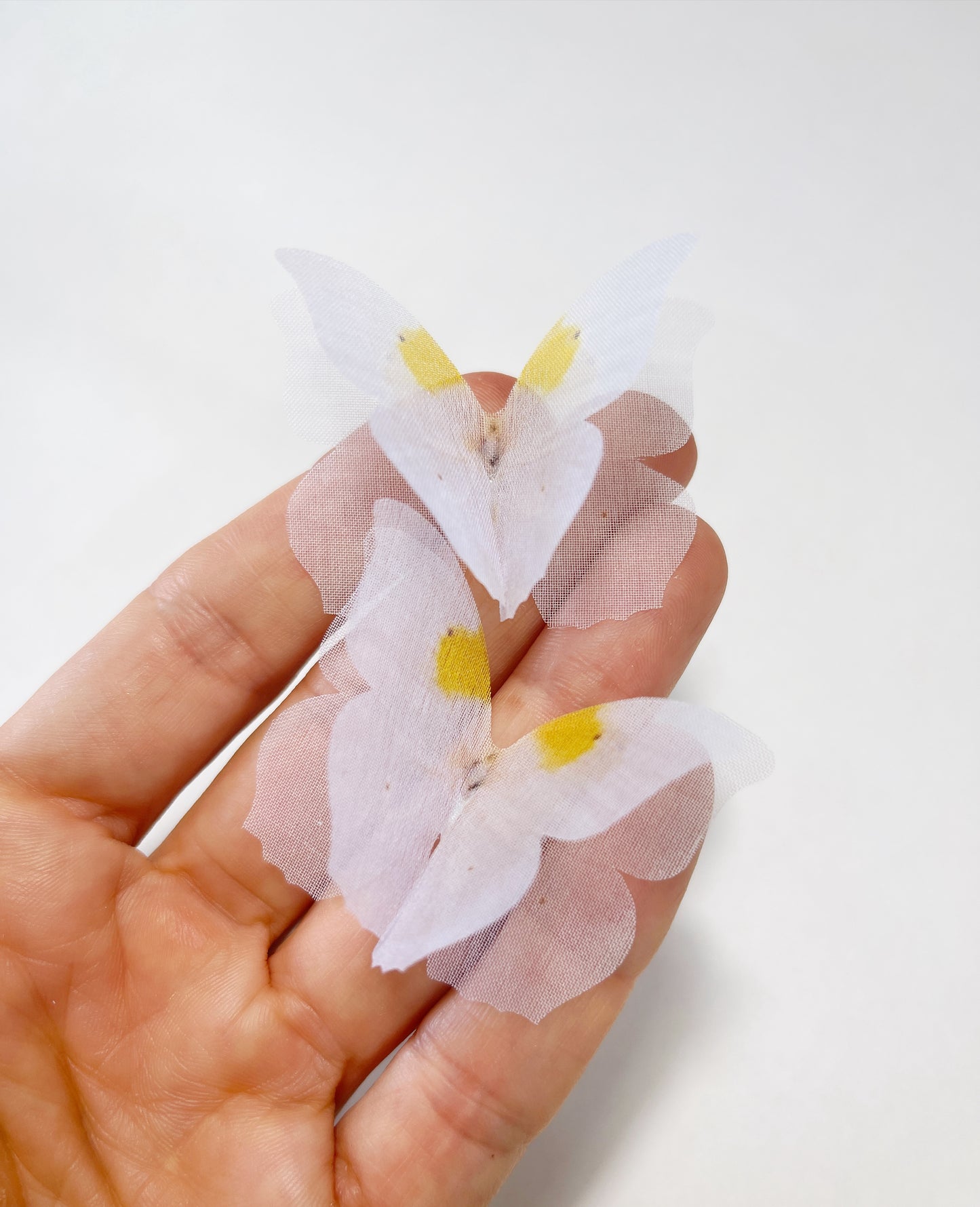white yellow silk butterflies