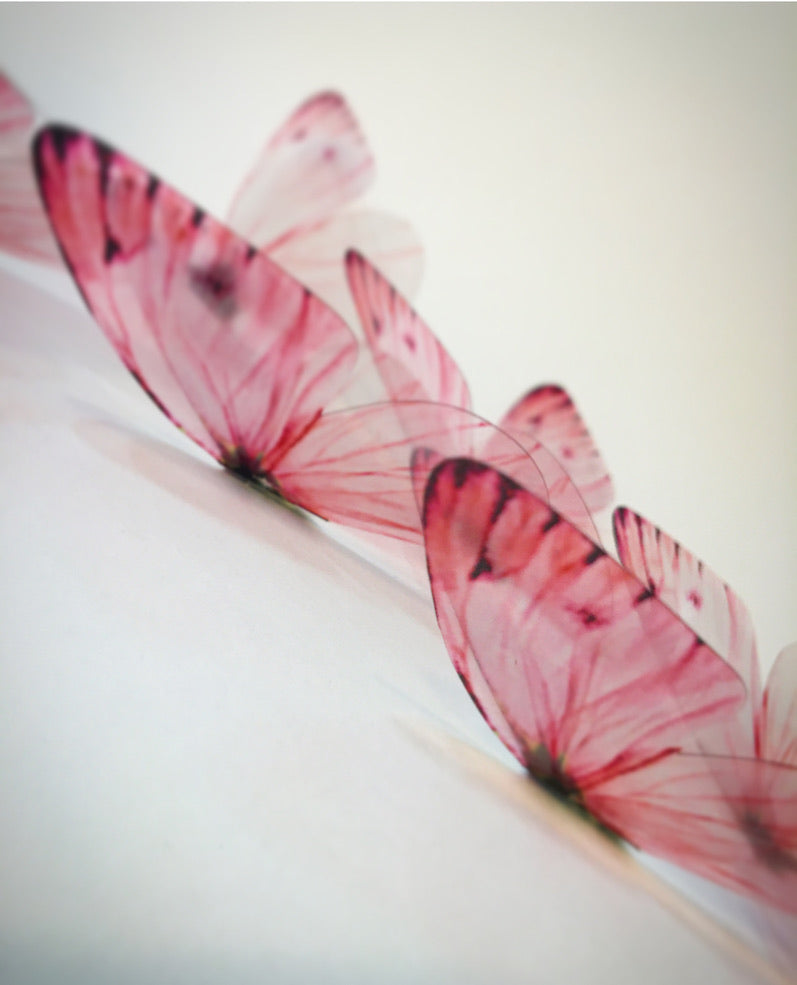 Vintage pink butterflies | plastic transparent butterflies | 3D decorative butterflies | butterfly wall art installation