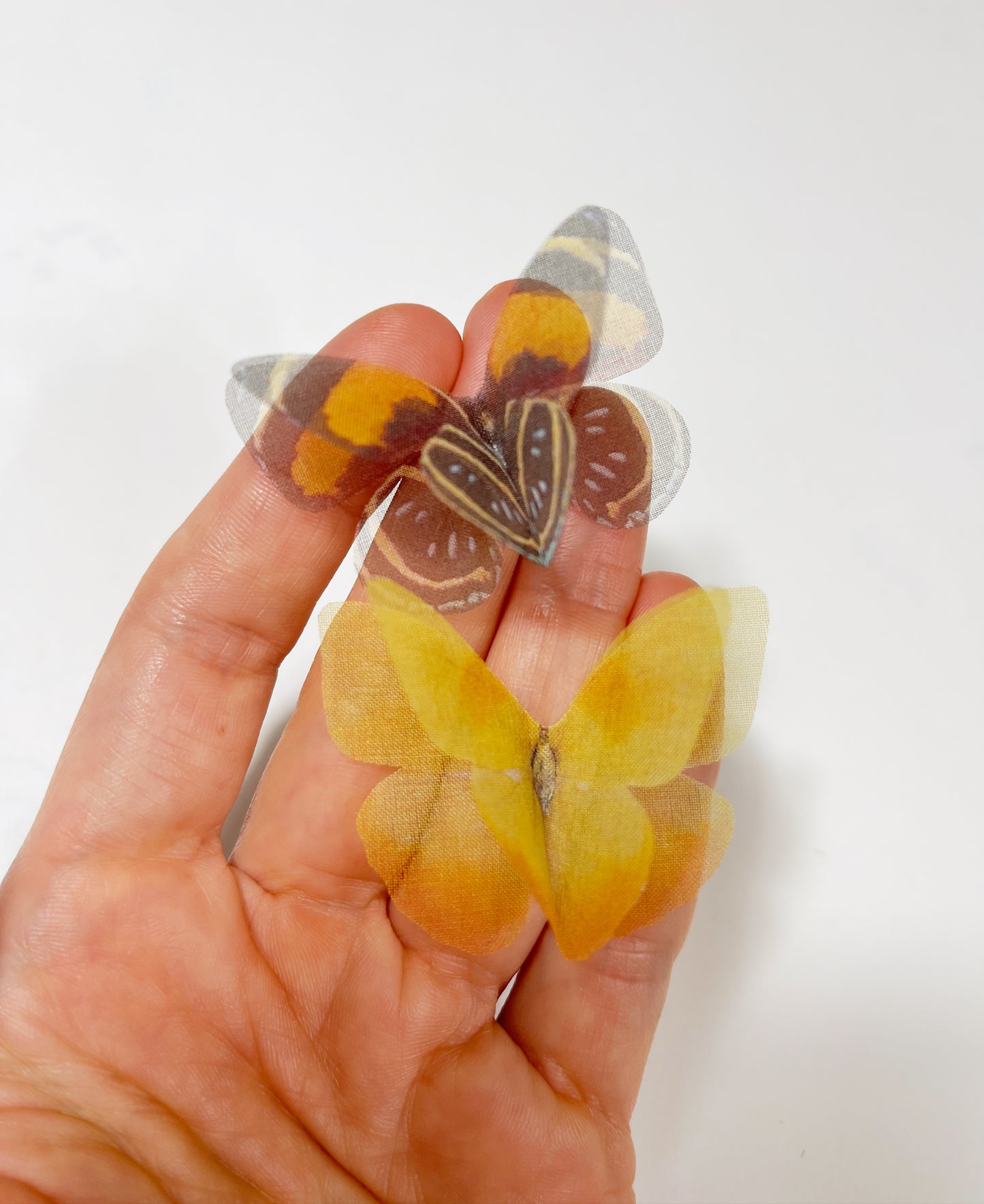 yellow and black silk butterfly