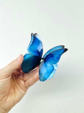 Blue rainbow butterflies| plastic transparent butterflies | 3D decorative butterflies | butterfly wall art installation