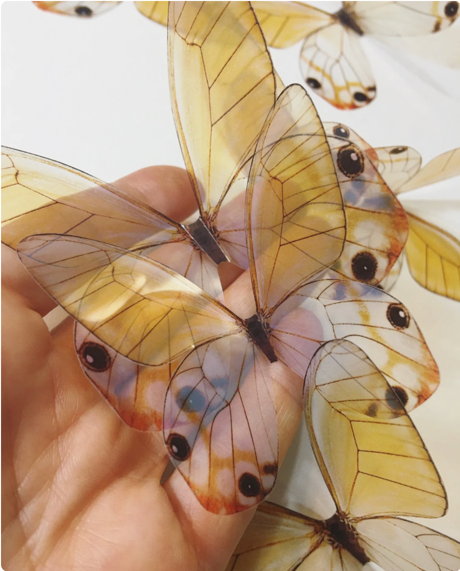 Unicorn butterflies | plastic translucent butterflies | 3D decorative butterflies | butterfly wall art installation (Copy)
