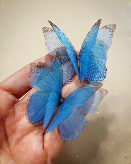 blue morpho butterfly