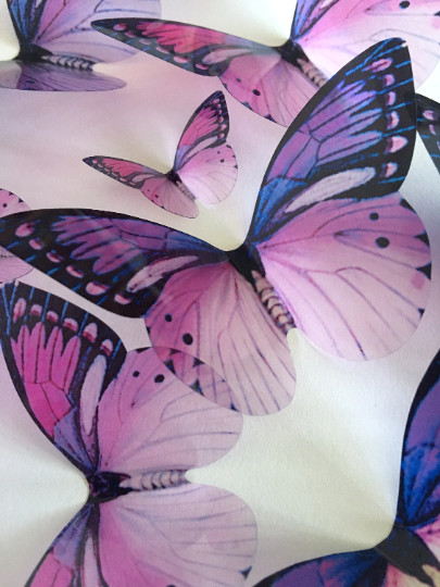 Vintage purple butterflies | plastic transparent butterflies | 3D decorative butterflies | butterfly wall art installation