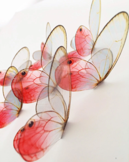 Blush pink butterflies| plastic transparent butterflies | 3D decorative butterflies | butterfly wall art installation (Copy)