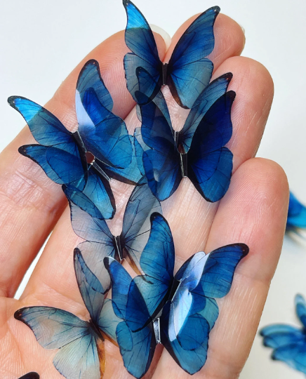 Blue rainbow butterflies| plastic transparent butterflies | 3D decorative butterflies | butterfly wall art installation