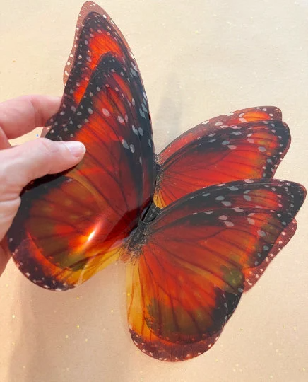 Monarch butterflies wings| plastic transparent butterflies | 3D decorative butterflies | butterfly wall art installation