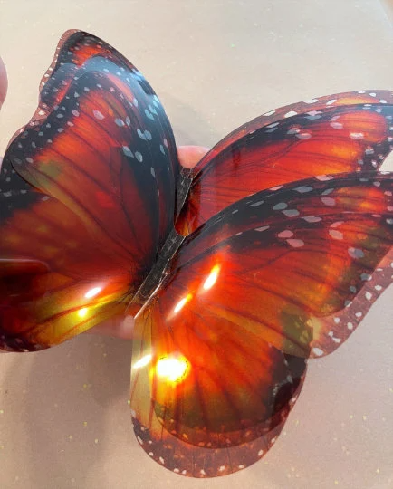 Monarch butterflies wings| plastic transparent butterflies | 3D decorative butterflies | butterfly wall art installation