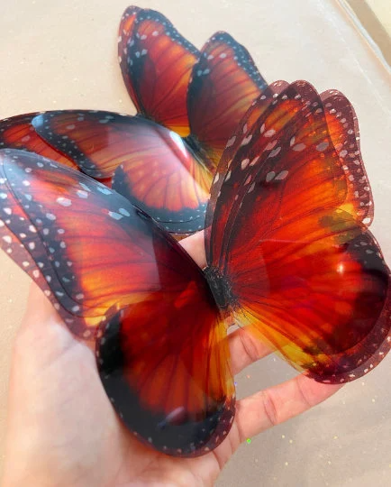 Monarch butterflies wings| plastic transparent butterflies | 3D decorative butterflies | butterfly wall art installation