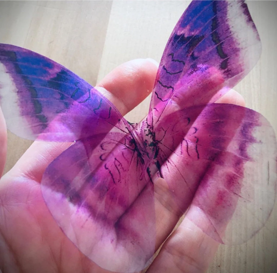 Pink purple butterflies | plastic transparent butterflies | 3D decorative butterflies | butterfly wall art installation