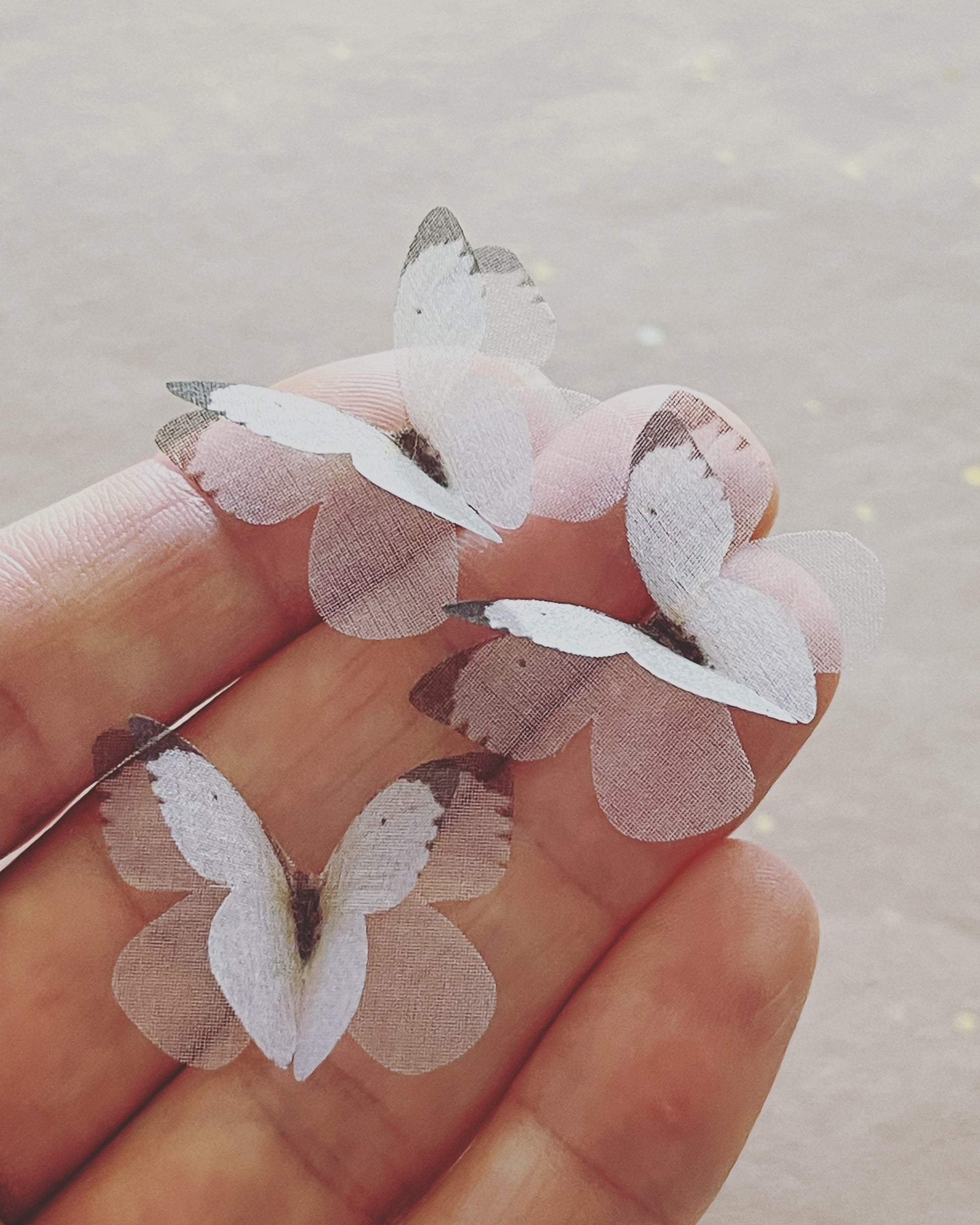 yellow and black butterfly