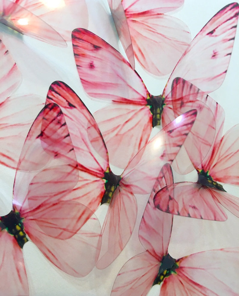 Vintage pink butterflies | plastic transparent butterflies | 3D decorative butterflies | butterfly wall art installation