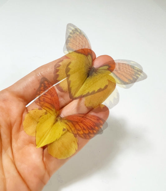 yellow orange butterflies