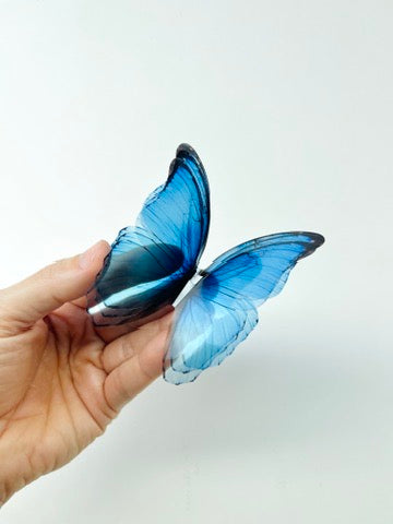 Blue rainbow butterflies| plastic transparent butterflies | 3D decorative butterflies | butterfly wall art installation