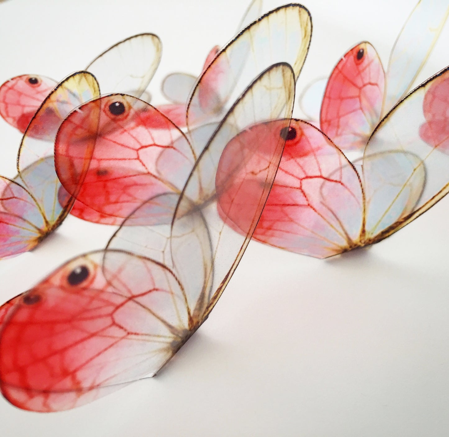 Blush pink butterflies| plastic transparent butterflies | 3D decorative butterflies | butterfly wall art installation (Copy)