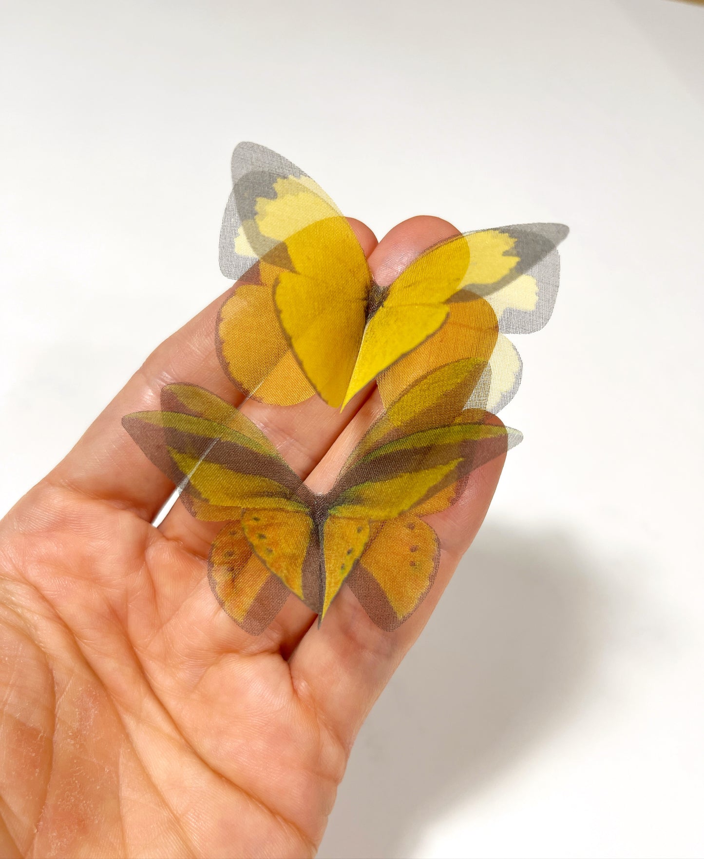 yellow butterflies