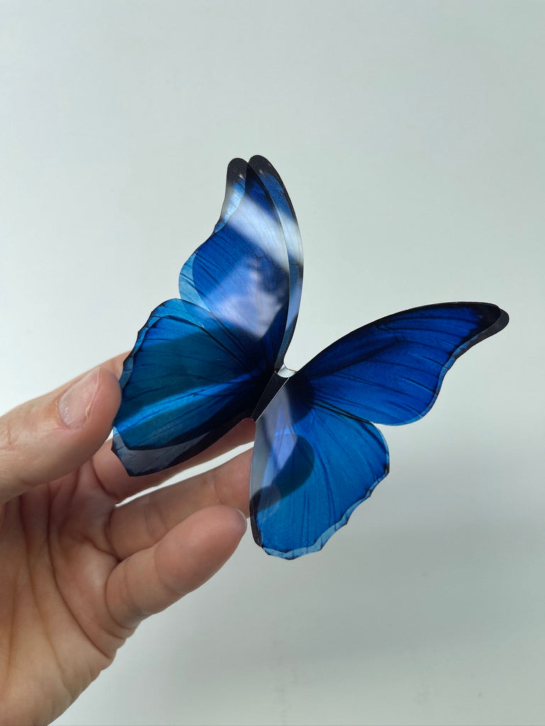 Blue rainbow butterflies| plastic transparent butterflies | 3D decorative butterflies | butterfly wall art installation