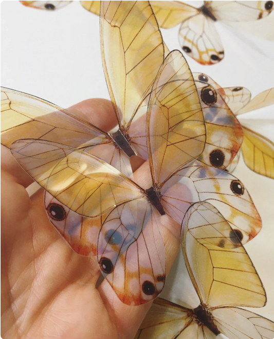 Unicorn butterflies | plastic translucent butterflies | 3D decorative butterflies | butterfly wall art installation (Copy)