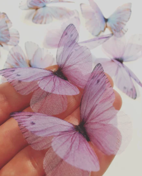 Uniq-D  |  On Sale    (until supply last)