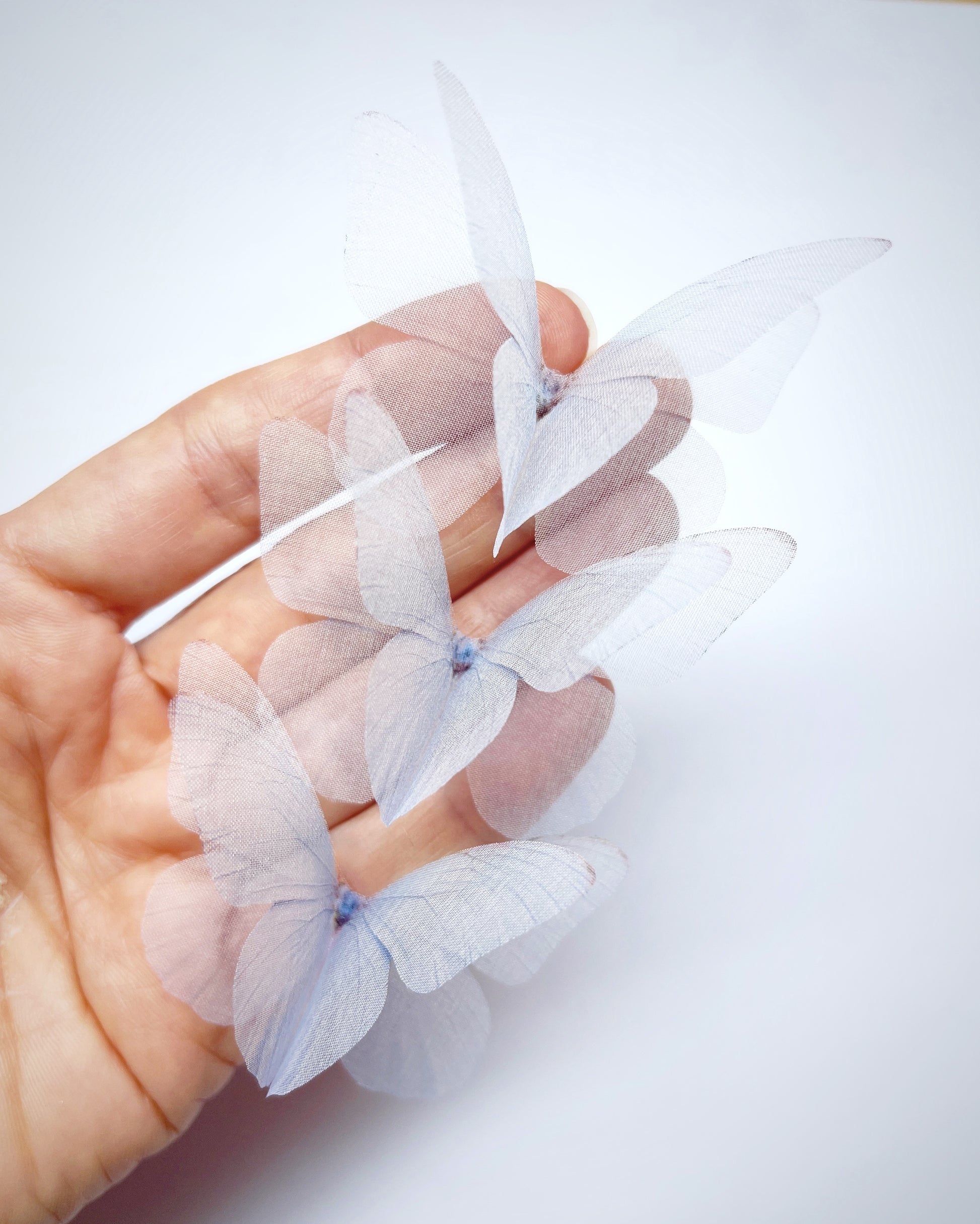 ombre light blue silk butterfly