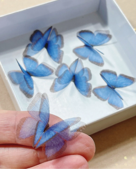 BLUE BROWN SILK BUTTERFLY