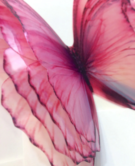 Pink butterflies | plastic translucent butterflies | 3D decorative butterflies | butterfly wall art installation