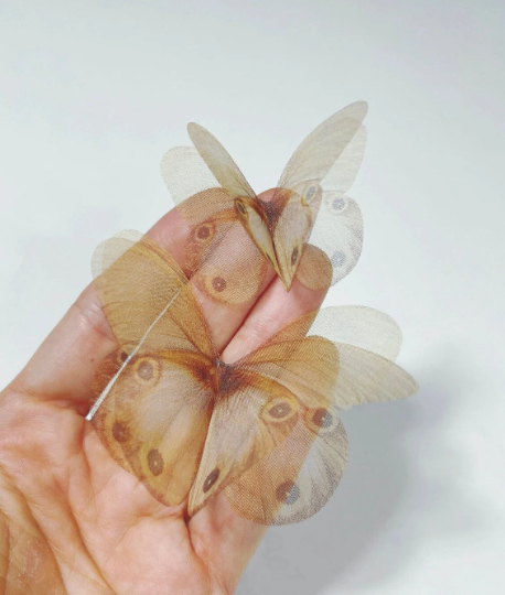 silk butterfly