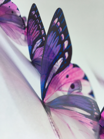 Vintage purple butterflies | plastic transparent butterflies | 3D decorative butterflies | butterfly wall art installation