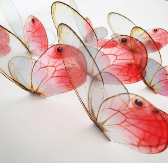 blush pink butterflies