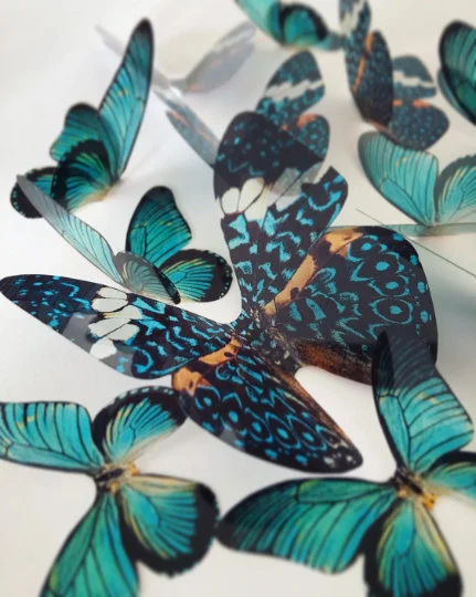 Teal blue butterflies| plastic transparent butterflies | 3D decorative butterflies | butterfly wall art installation