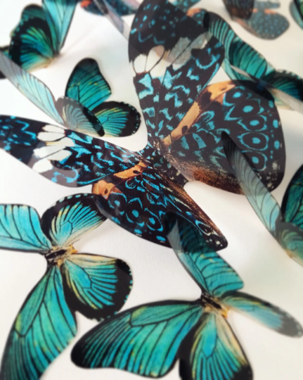 Teal blue butterflies| plastic transparent butterflies | 3D decorative butterflies | butterfly wall art installation