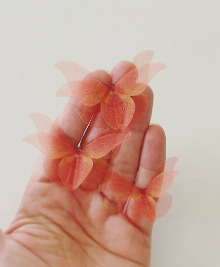 ORGANZA BUTTERFLIES