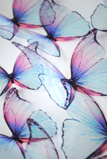 Frozen butterflies| plastic transparent butterflies | 3D decorative butterflies | butterfly wall art installation