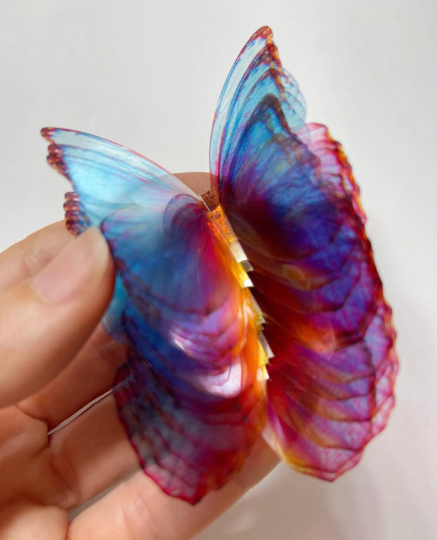 fairy wings