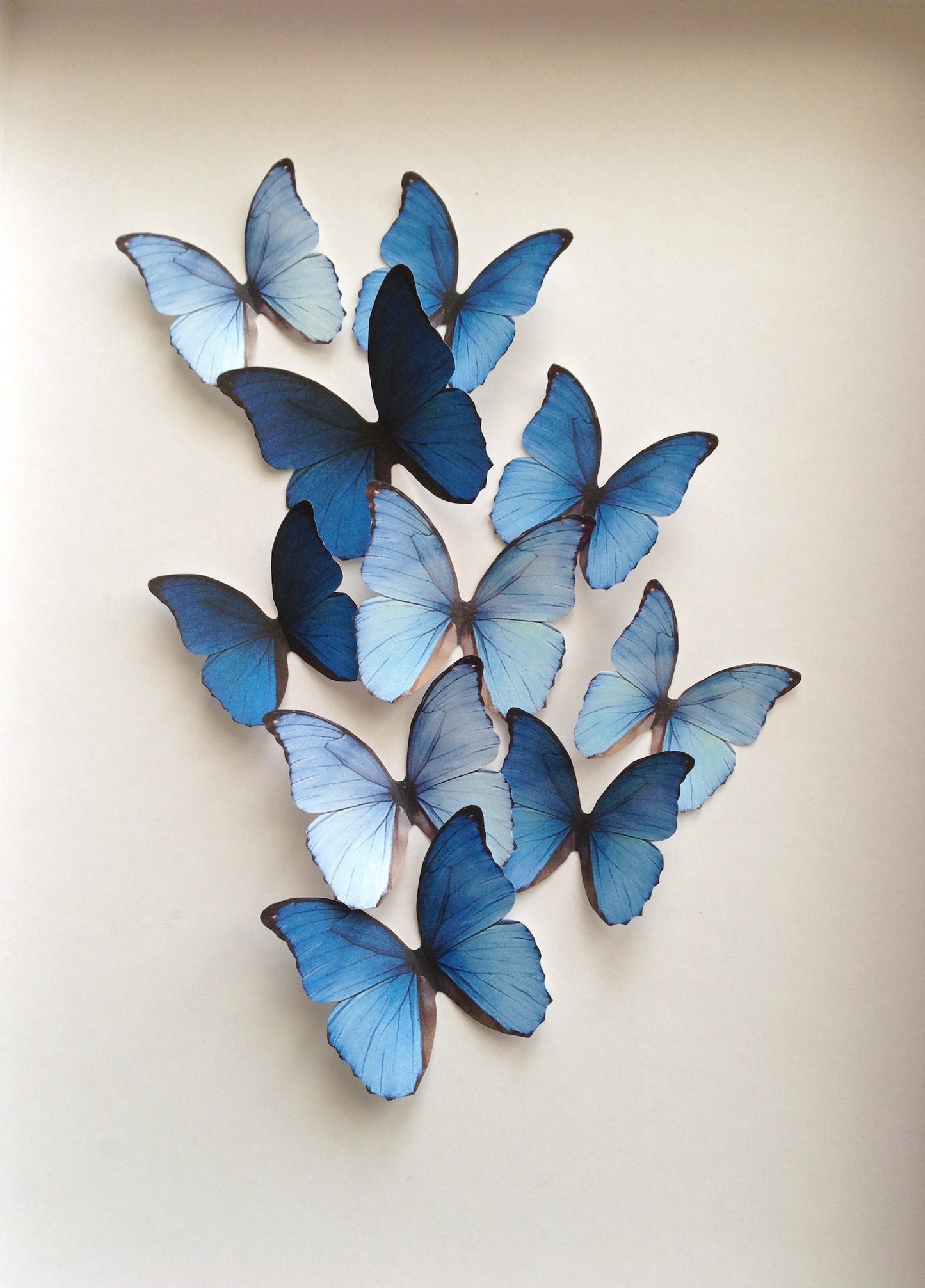 Blue rainbow decorative butterflies - Cardstock butterflies - 3D Butterfly art installation - Cutouts