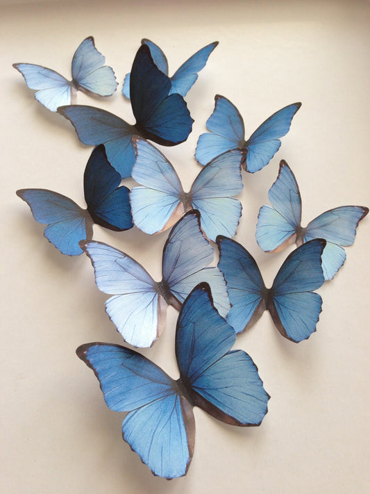 Blue rainbow decorative butterflies - Cardstock butterflies - 3D Butterfly art installation - Cutouts