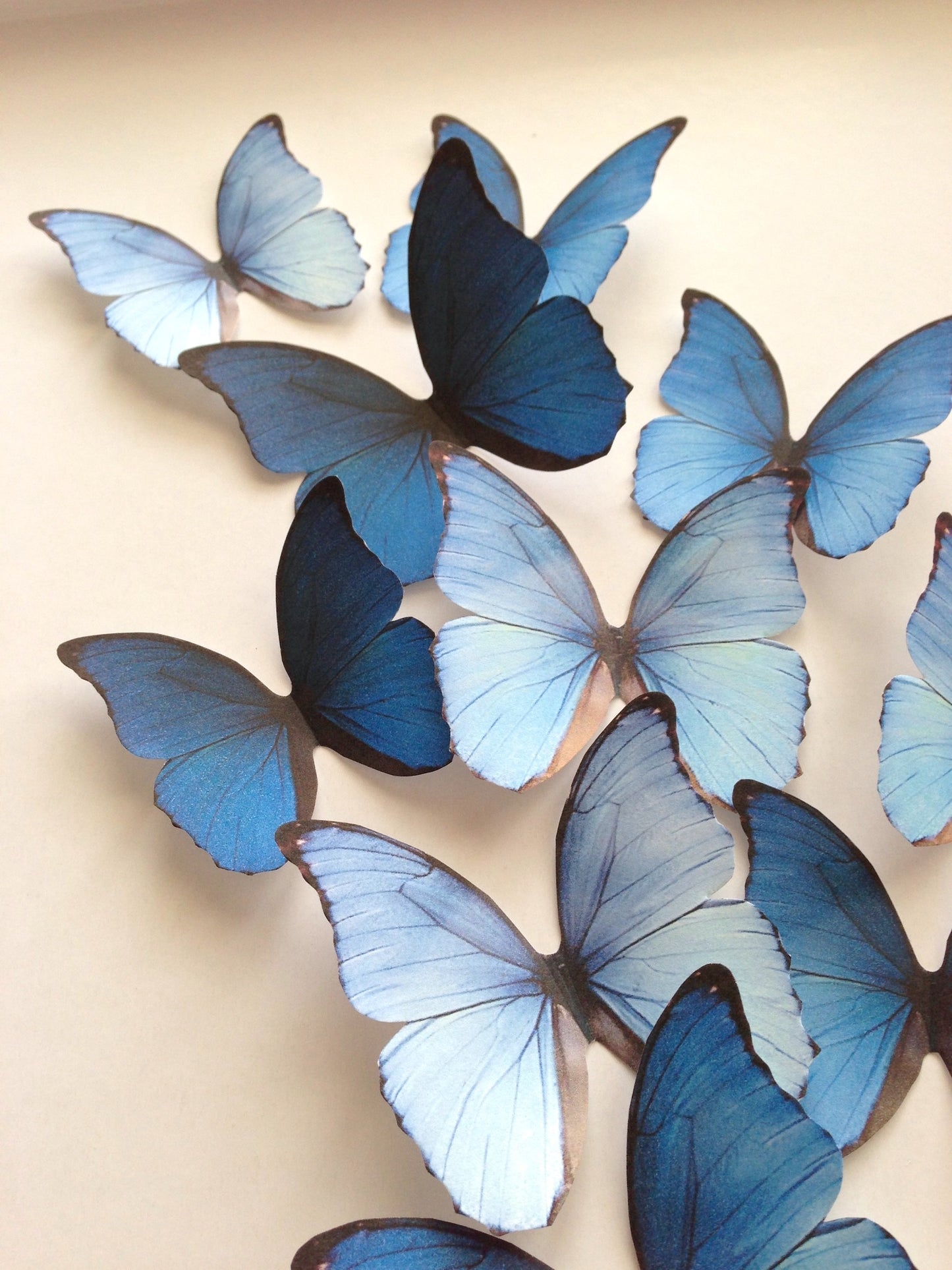 Blue rainbow decorative butterflies - Cardstock butterflies - 3D Butterfly art installation - Cutouts